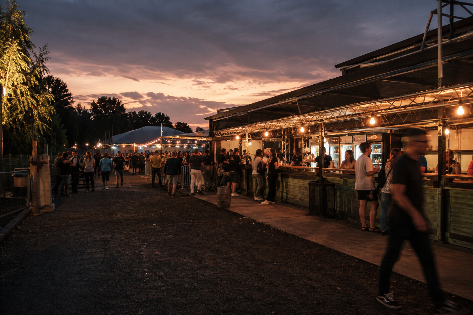 Público en un festival nocturno